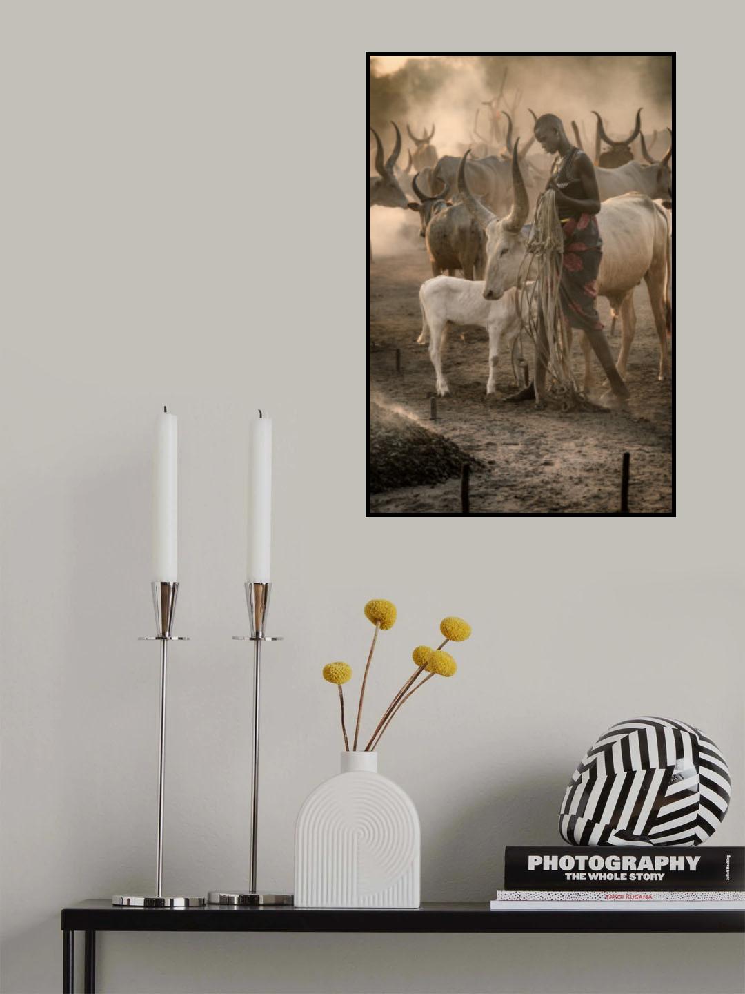 Tethering my cattle Poster och Canvastavla