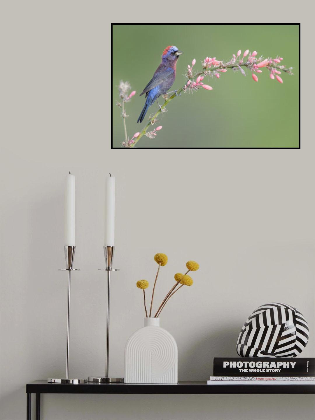 Arizona morning Poster och Canvastavla