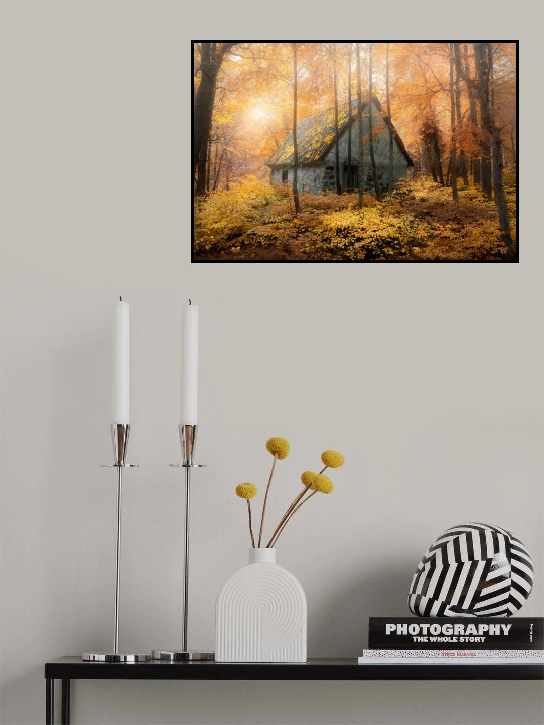House in the forest during fallseason Poster och Canvastavla