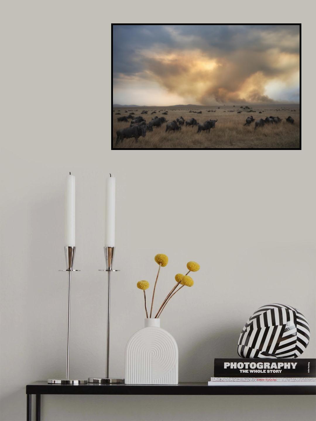 Savannah Burning Poster och Canvastavla