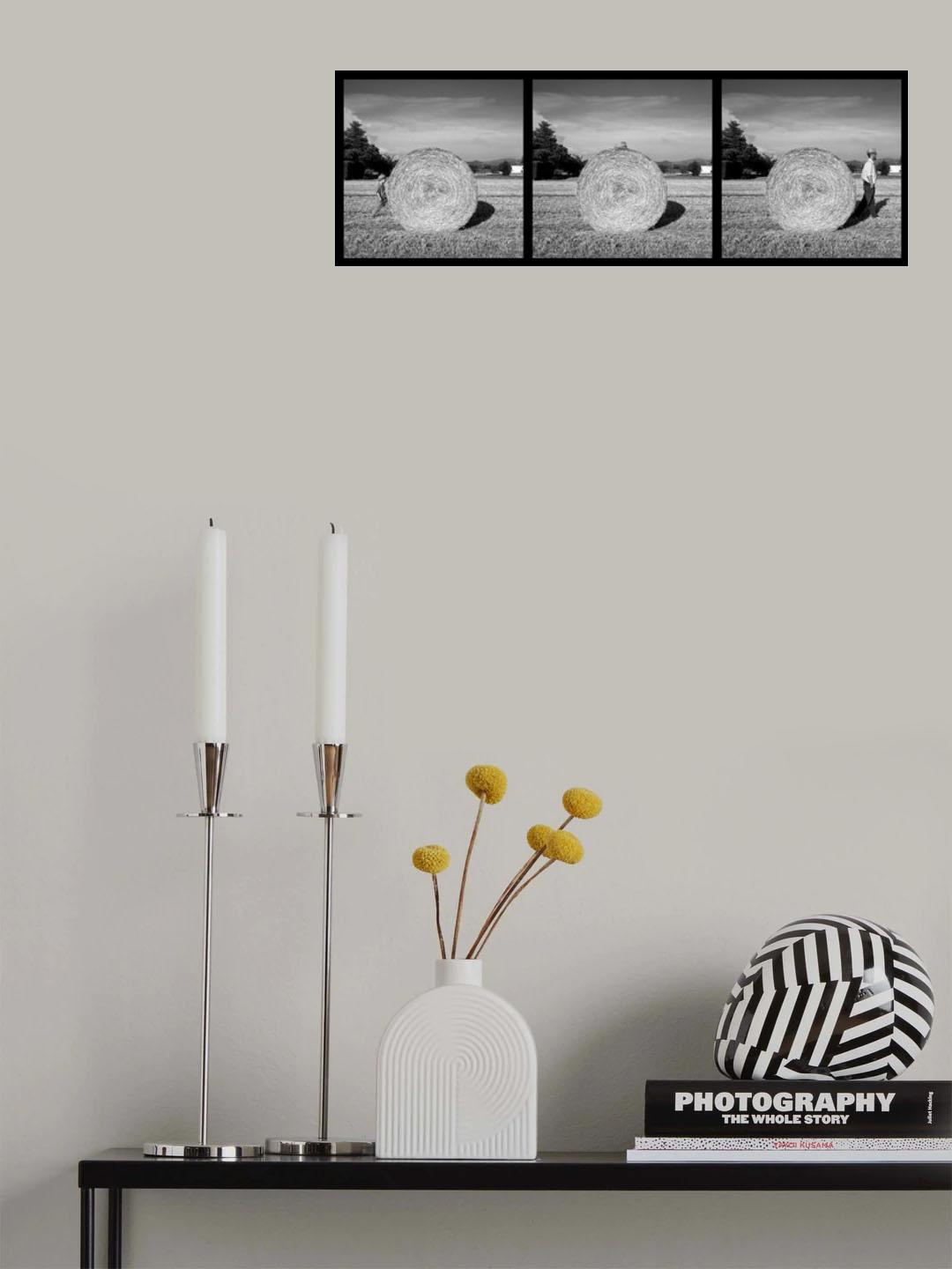The wheel of life Poster och Canvastavla