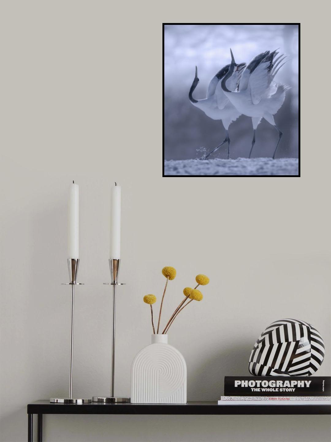 dual danceing Poster och Canvastavla