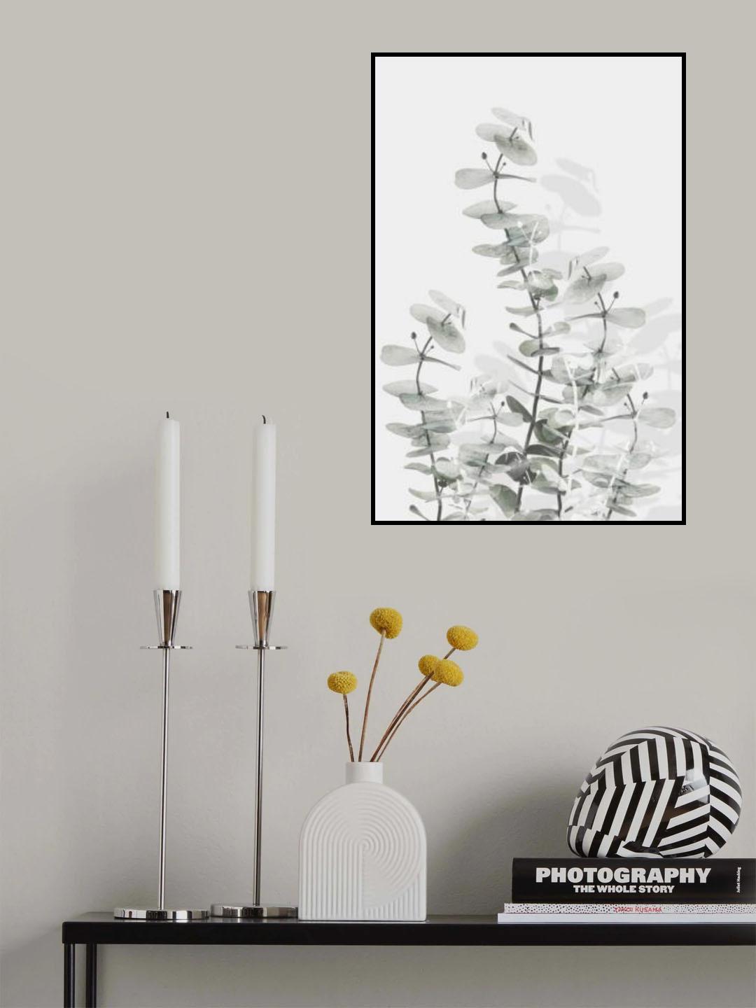 Eucalyptus Creative 15 Poster och Canvastavla