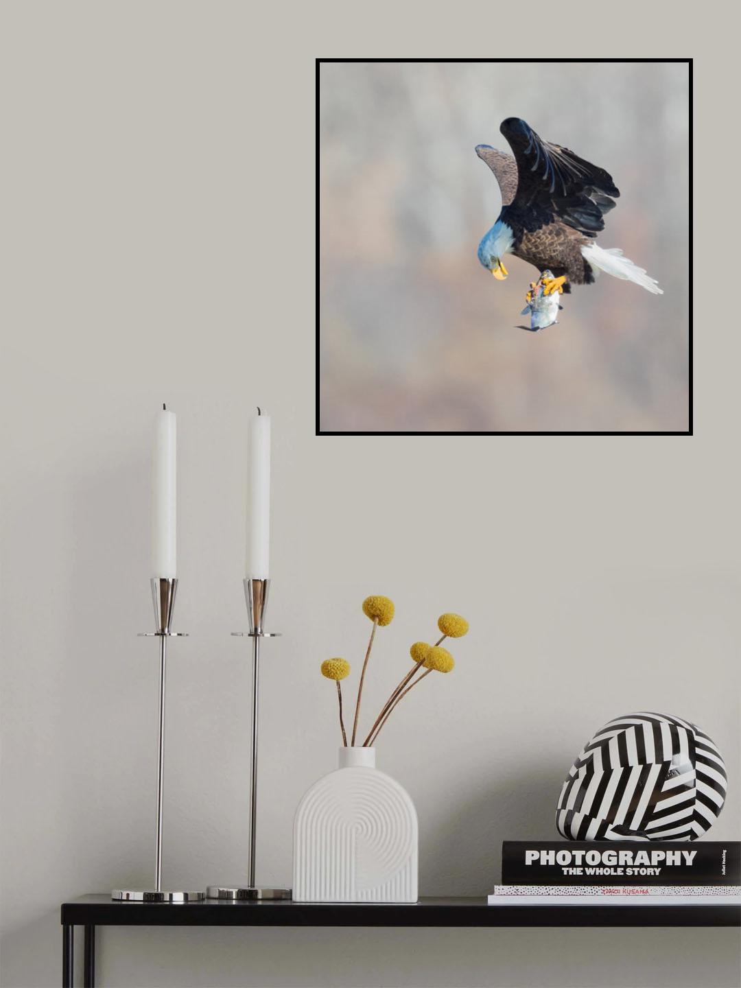 Sorry Poster och Canvastavla
