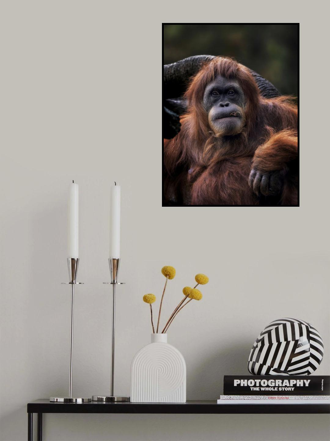 The Lady Poster och Canvastavla