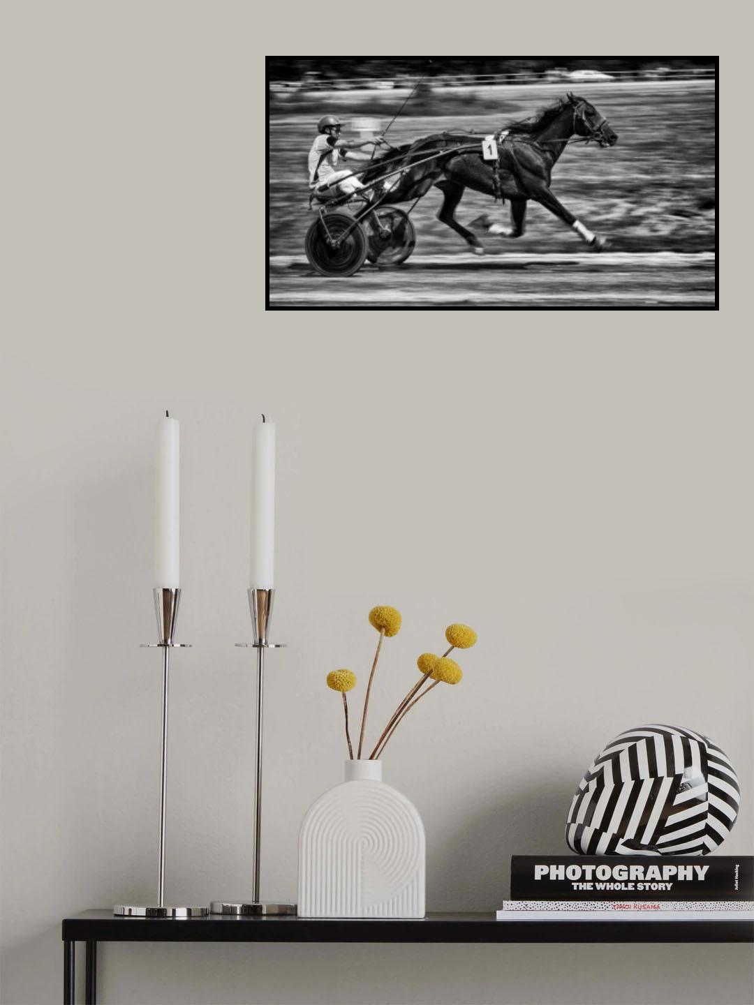 full trotting Poster och Canvastavla