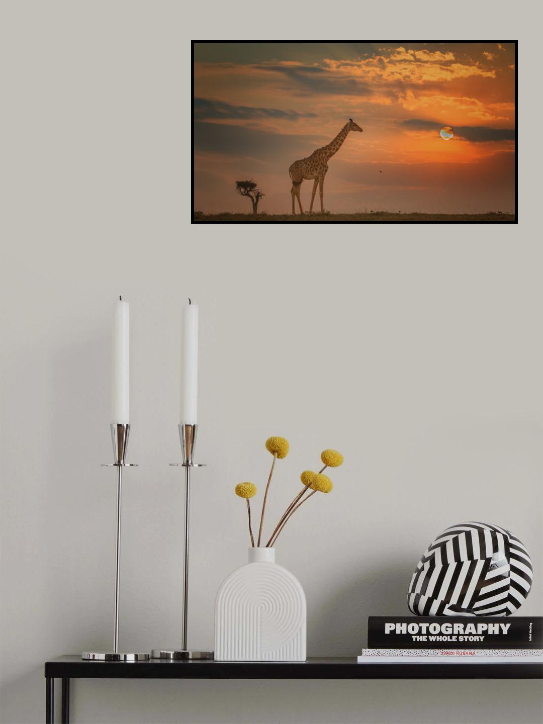 Walk with Sunset Poster och Canvastavla