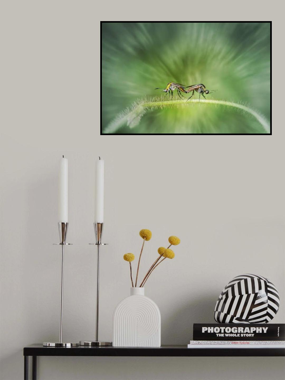 Big Mosquito Poster och Canvastavla