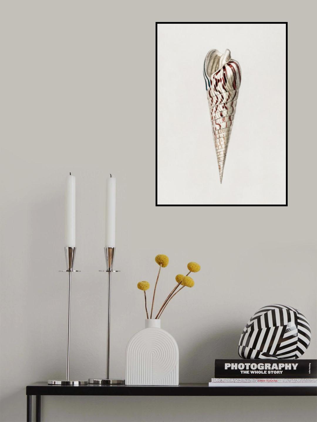 Mollusks Crop III Poster och Canvastavla
