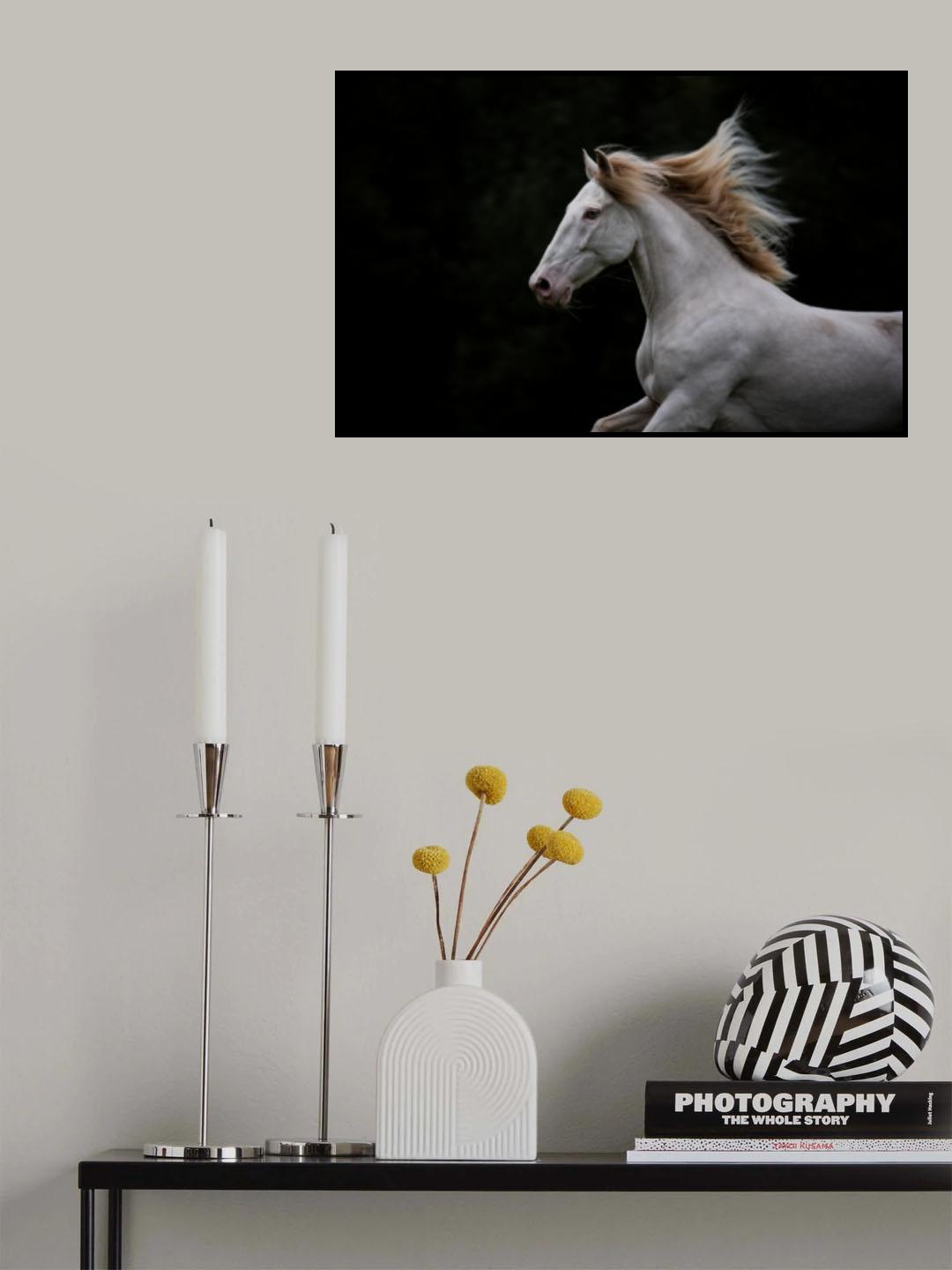 ... Poster och Canvastavla