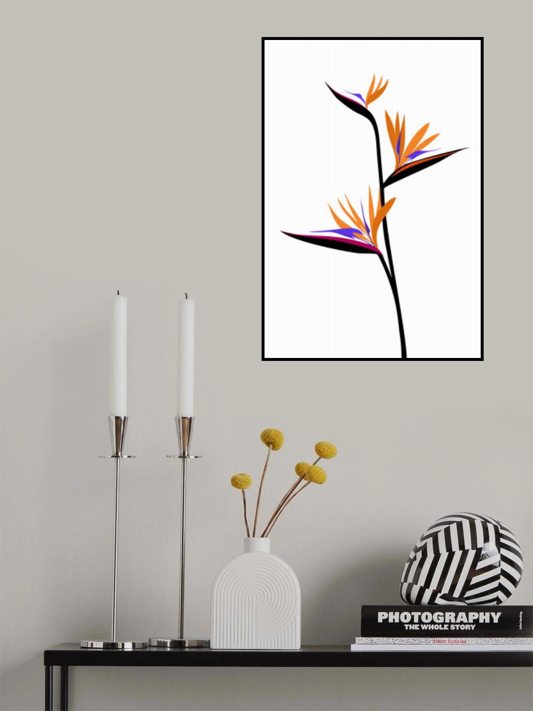 Bird of paradise in black Poster och Canvastavla