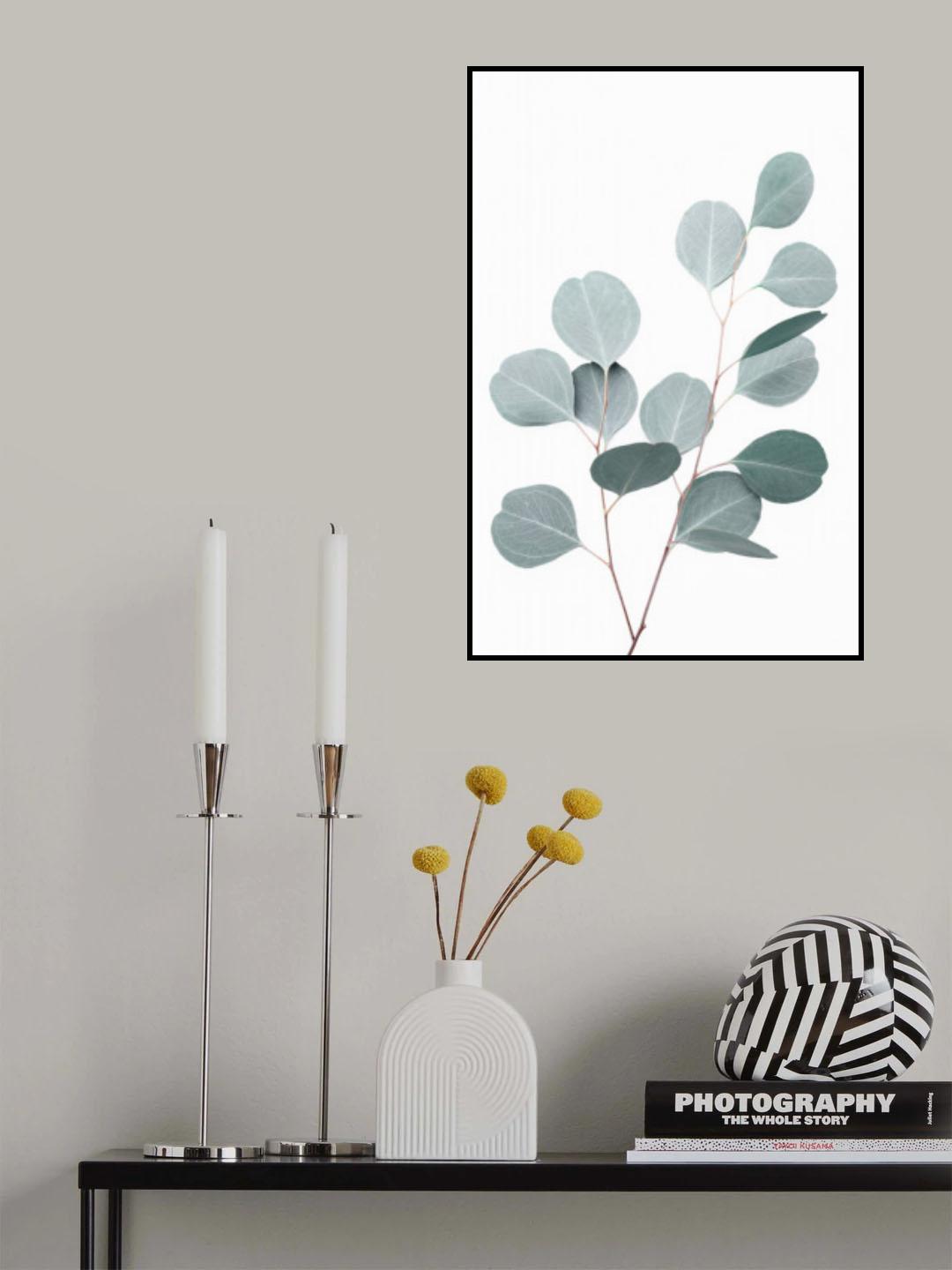 Silverdollar Poster och Canvastavla