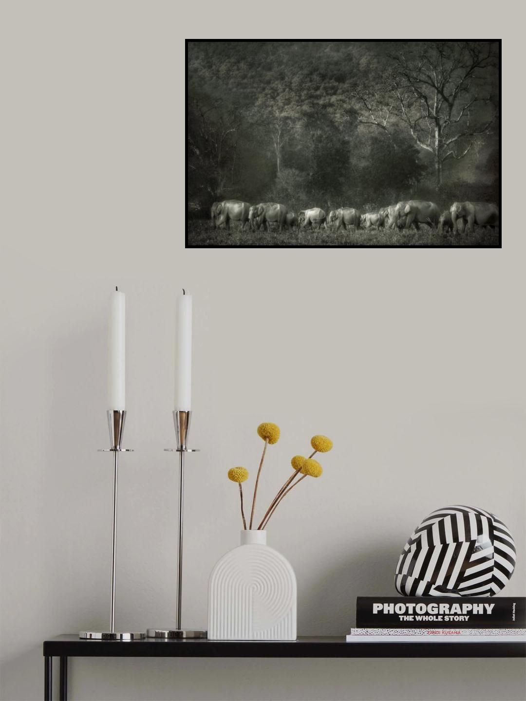 Elephant familiy Poster och Canvastavla