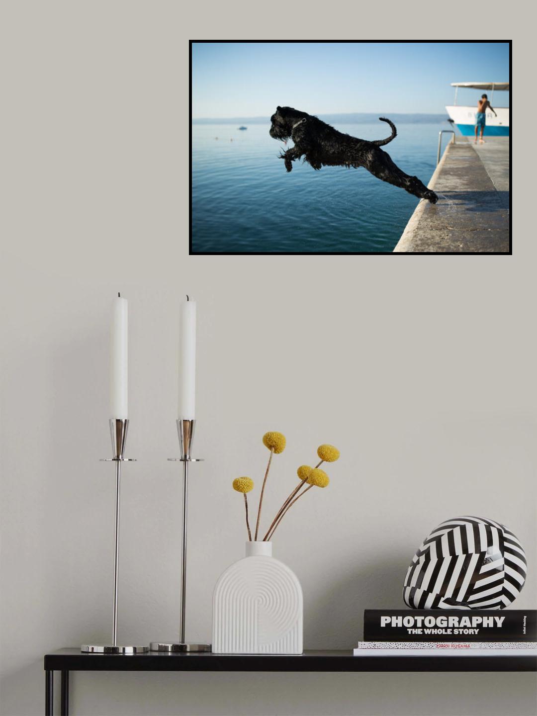 Jump Poster och Canvastavla