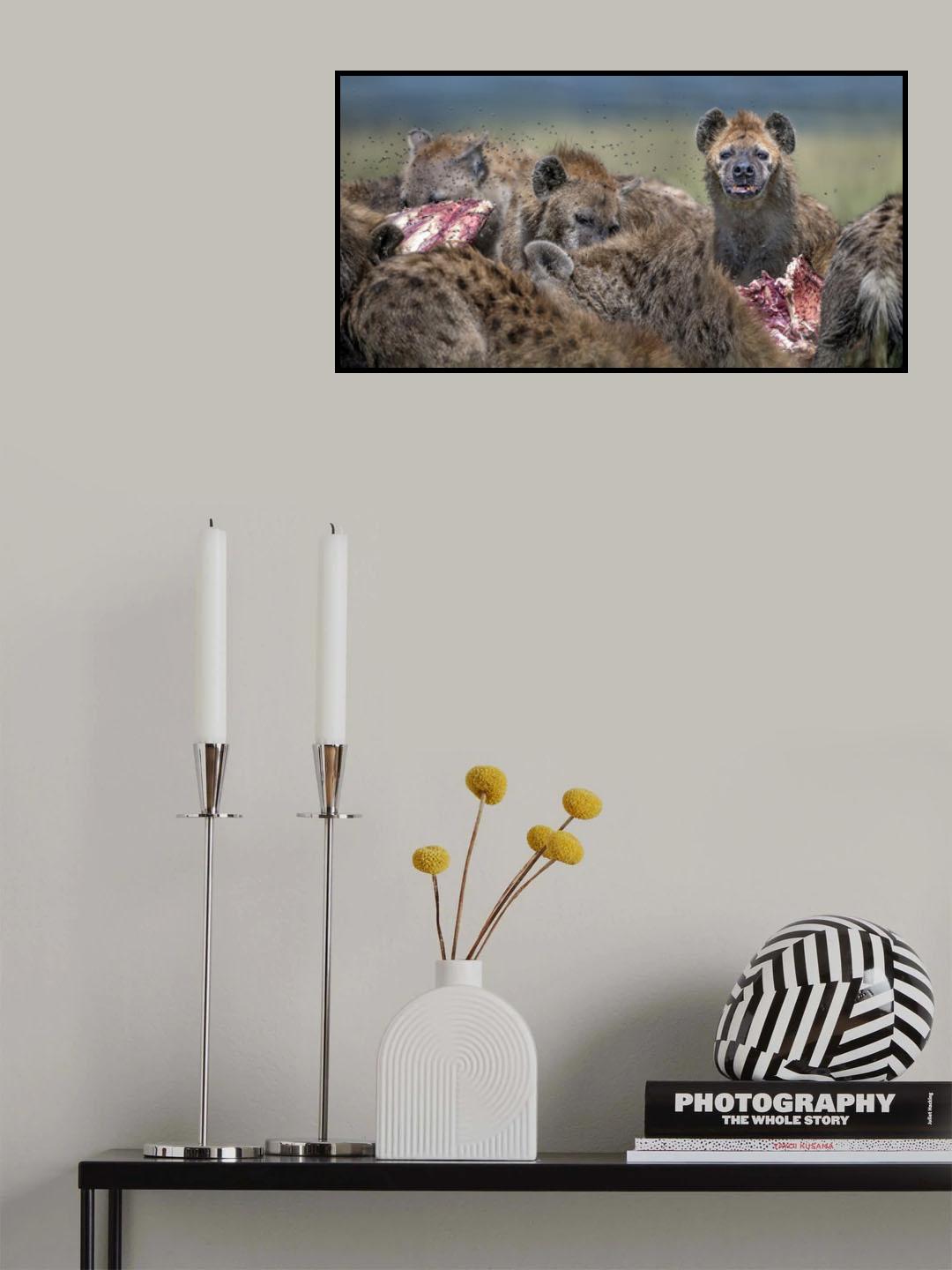 Hyenas feeding Poster och Canvastavla