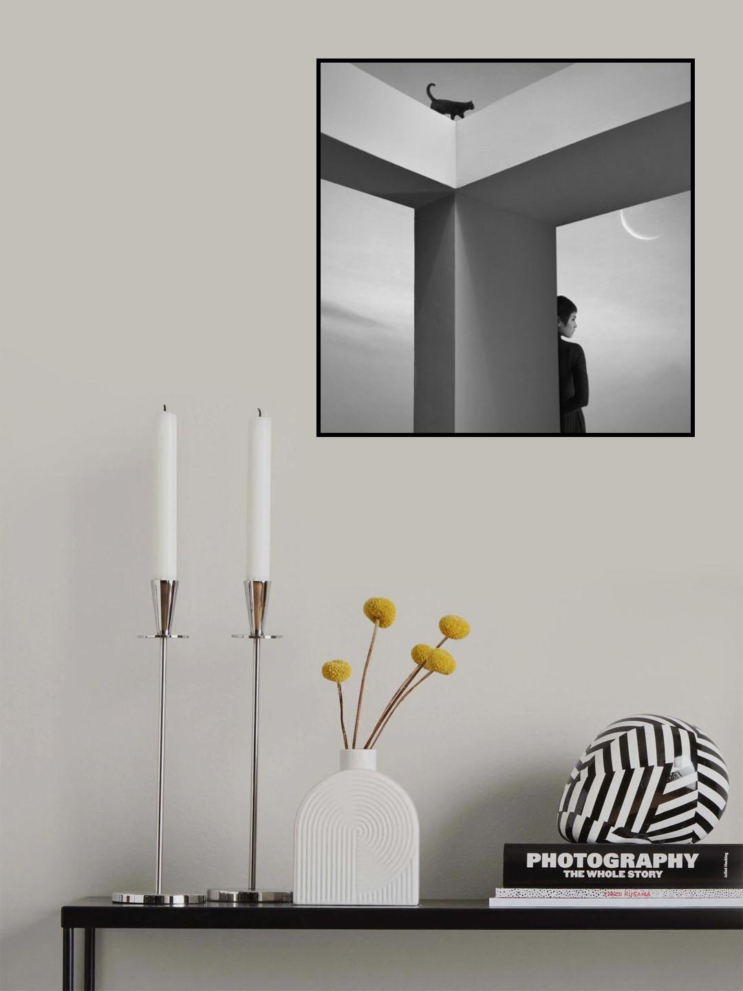Shine on Silver Moon Poster och Canvastavla