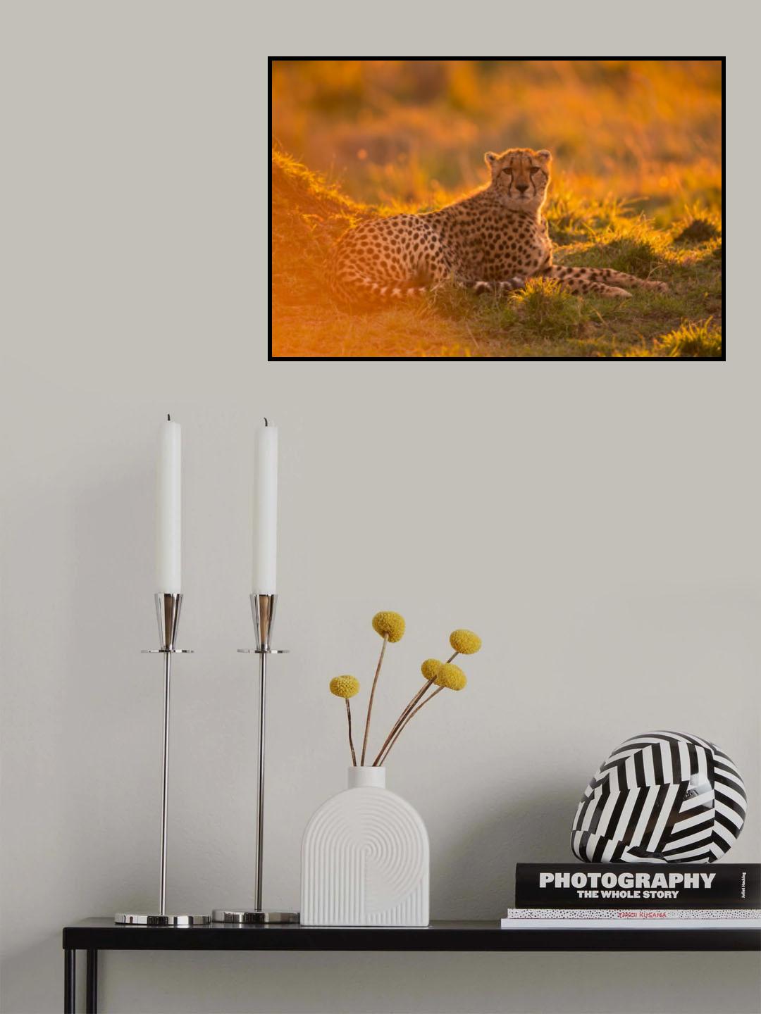 Into the golden light Poster och Canvastavla