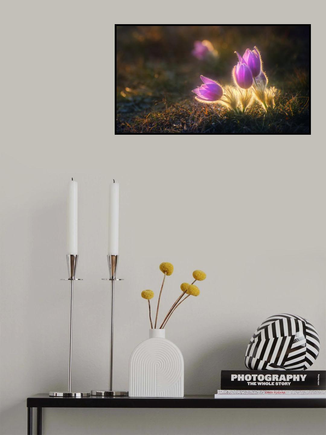 spring greeting Poster och Canvastavla