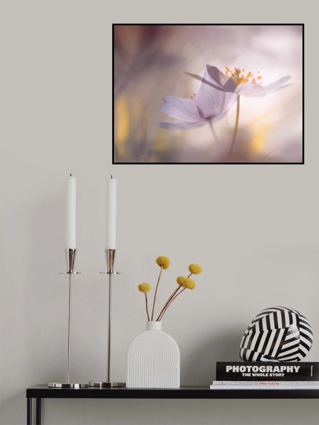 Violet tones. Poster och Canvastavla