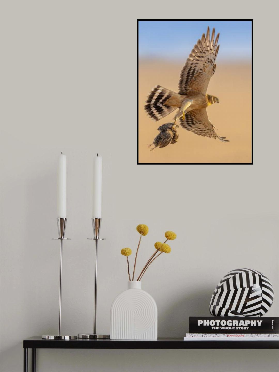 Poster och Canvastavla