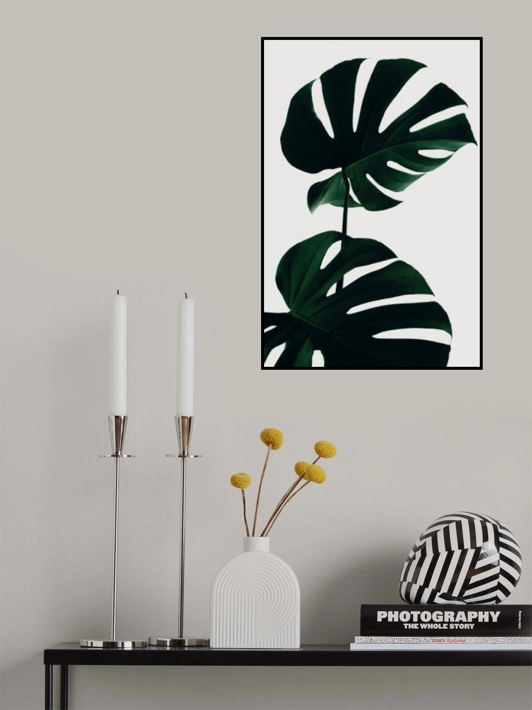 Monstera Natural 09 Poster och Canvastavla