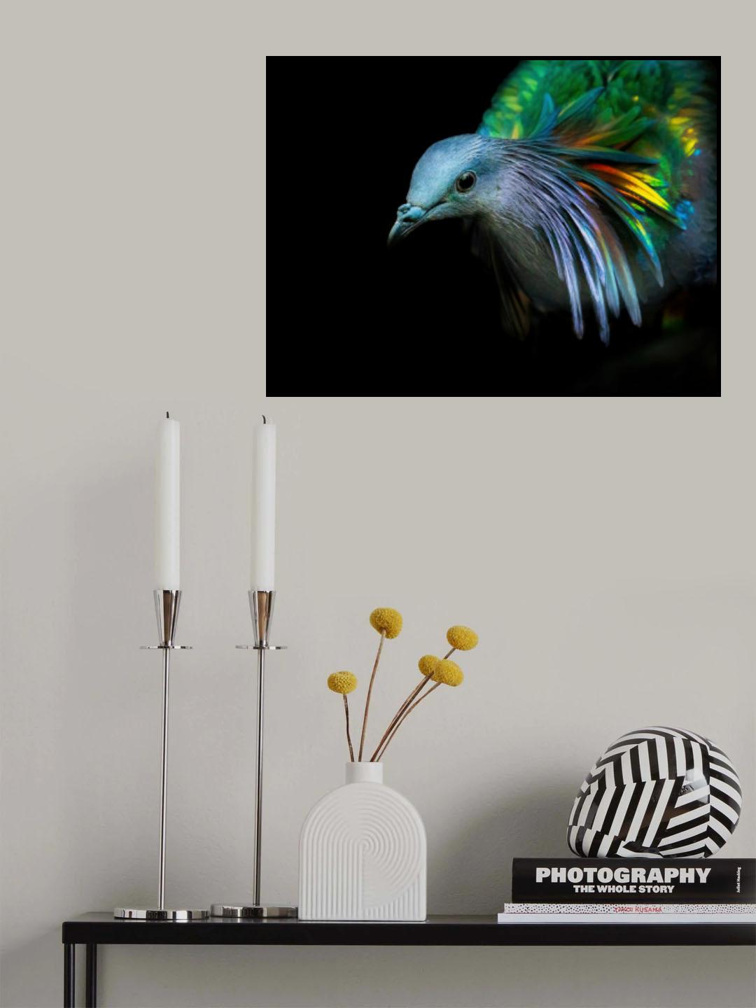 Curiosity Poster och Canvastavla