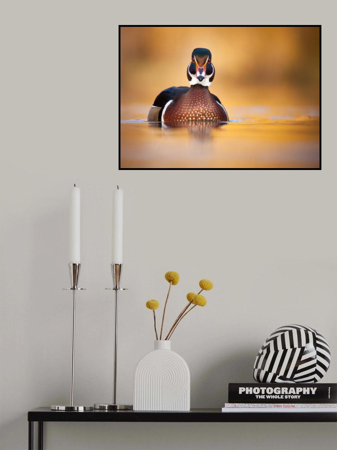 Karolin duck Poster och Canvastavla