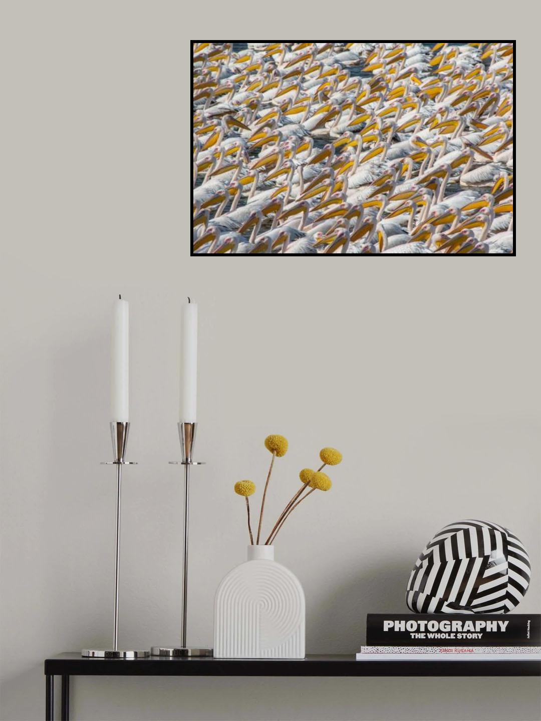 Pelican Parade Poster och Canvastavla