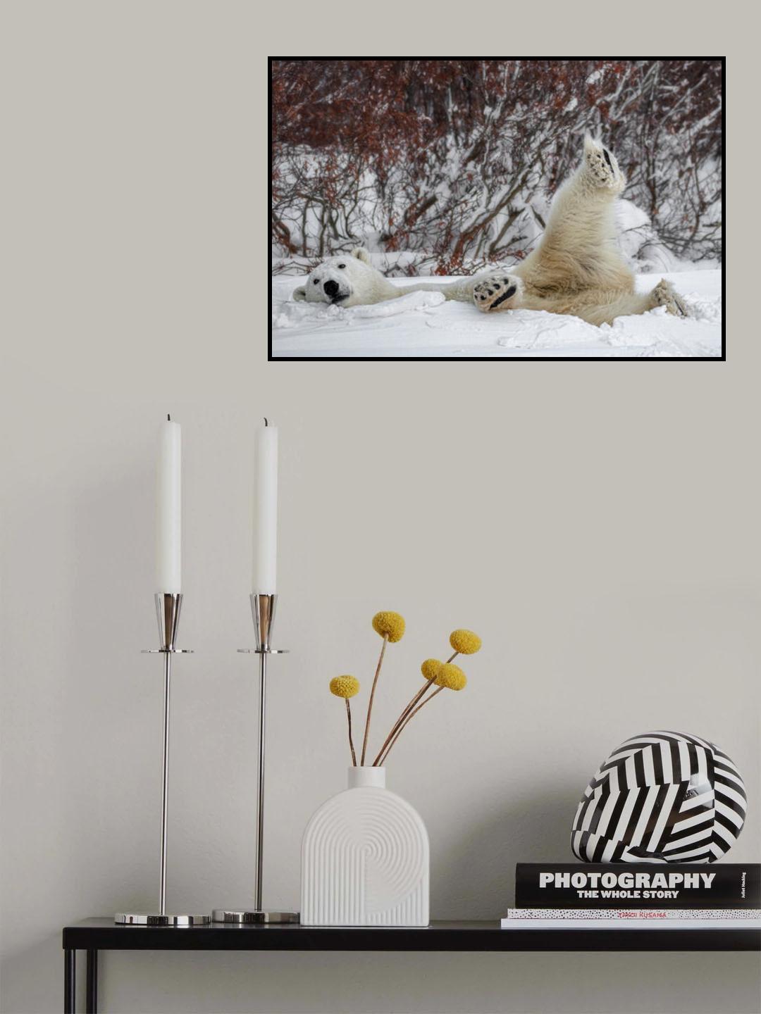 Kung Fu Bear Poster och Canvastavla