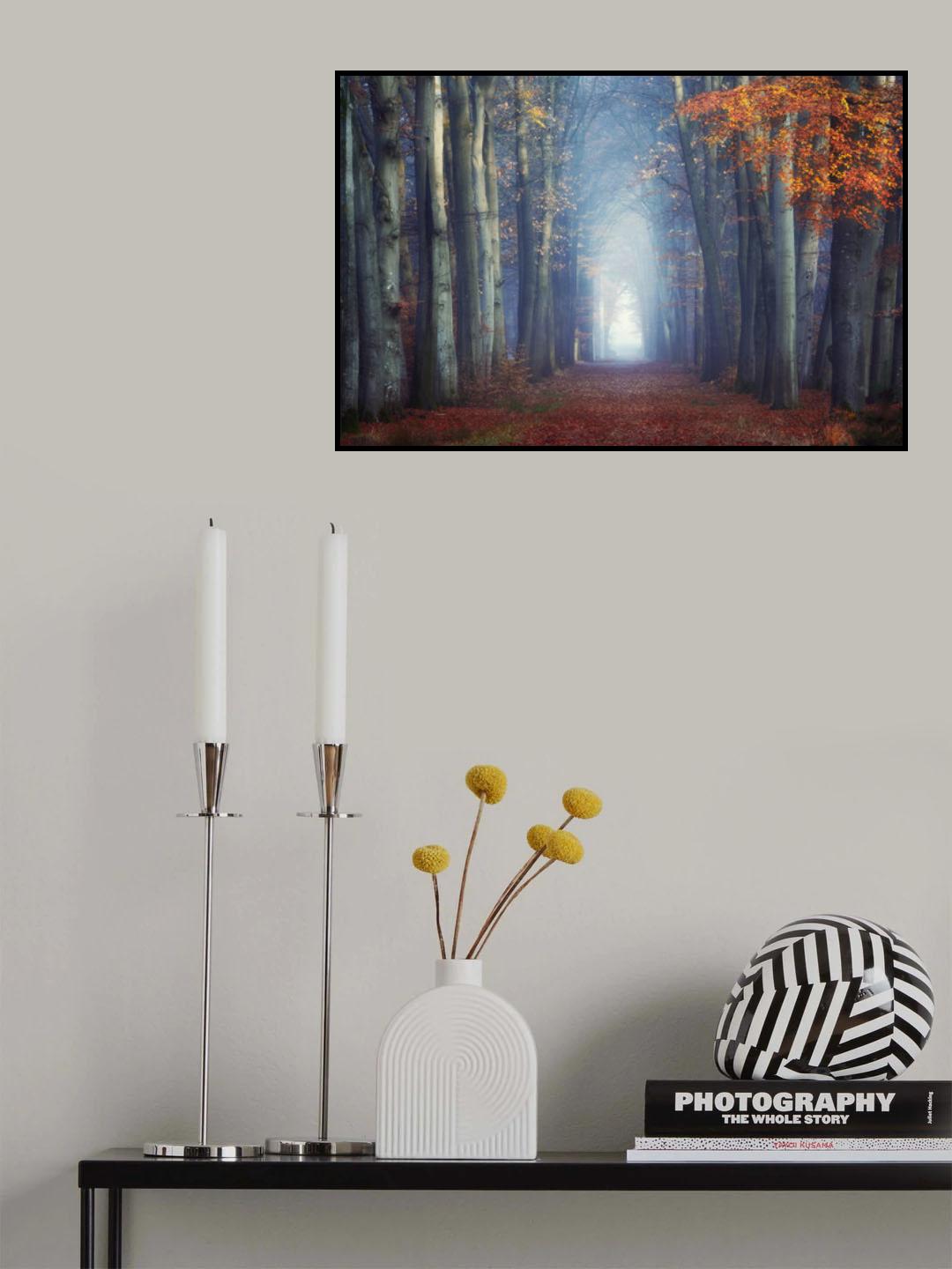 Autumn has arrived Poster och Canvastavla