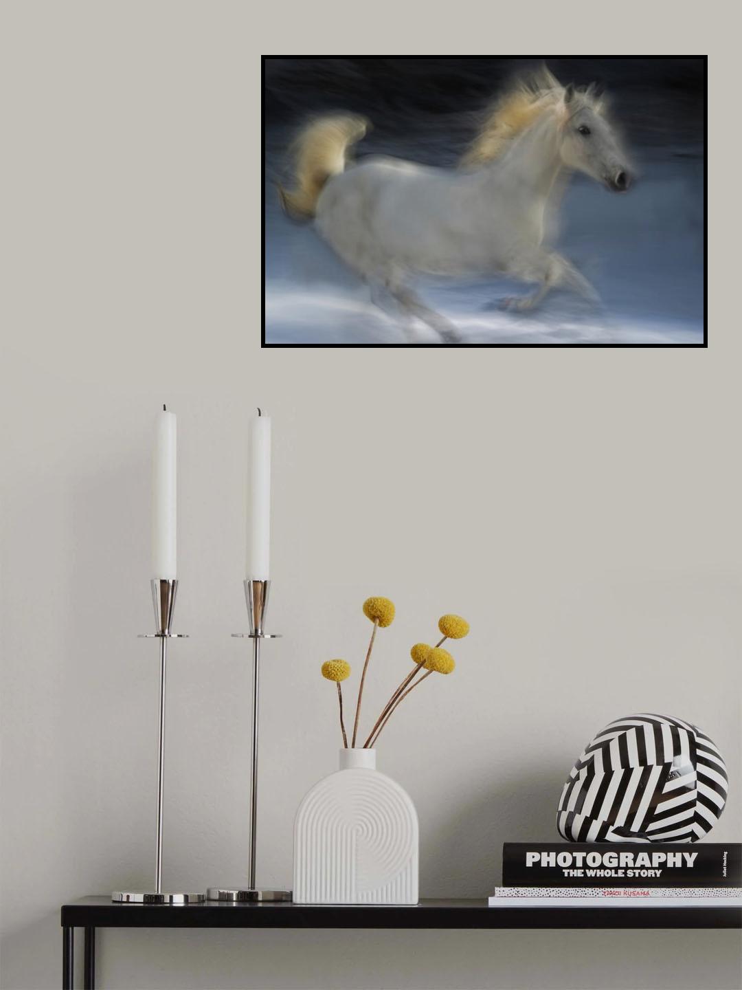 Lipicanka Poster och Canvastavla