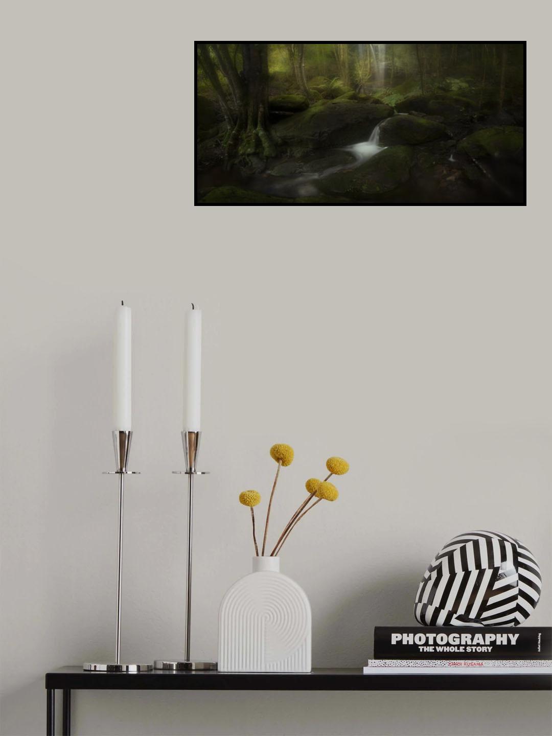 Deep in the Forest Poster och Canvastavla