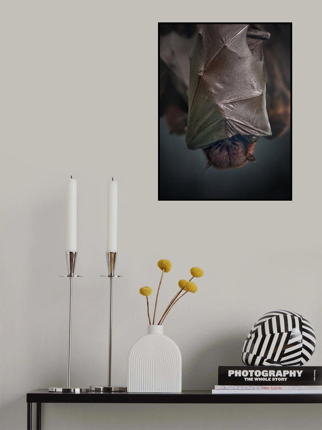 Nocturnal Poster och Canvastavla