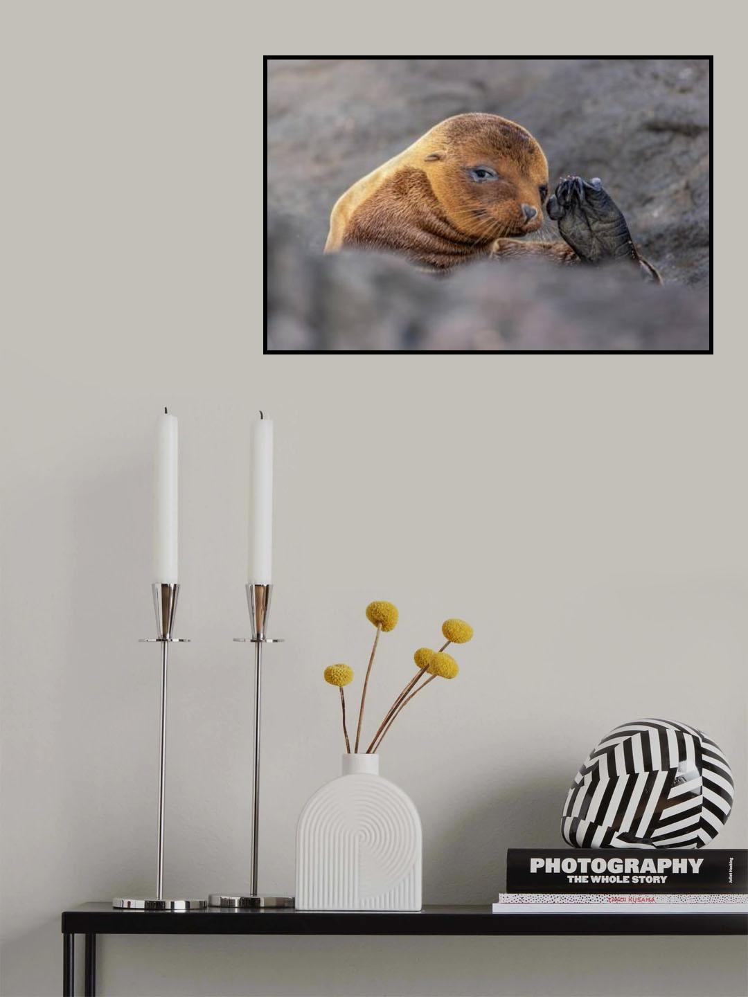 Hello there Poster och Canvastavla