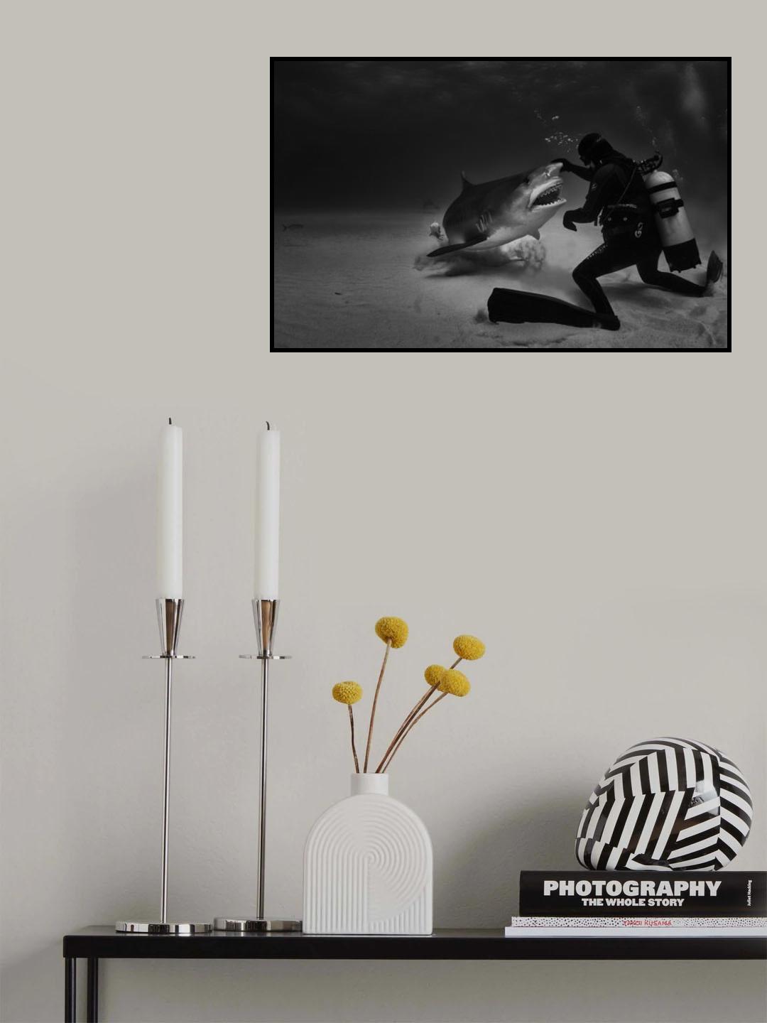 Dance with sharks Poster och Canvastavla