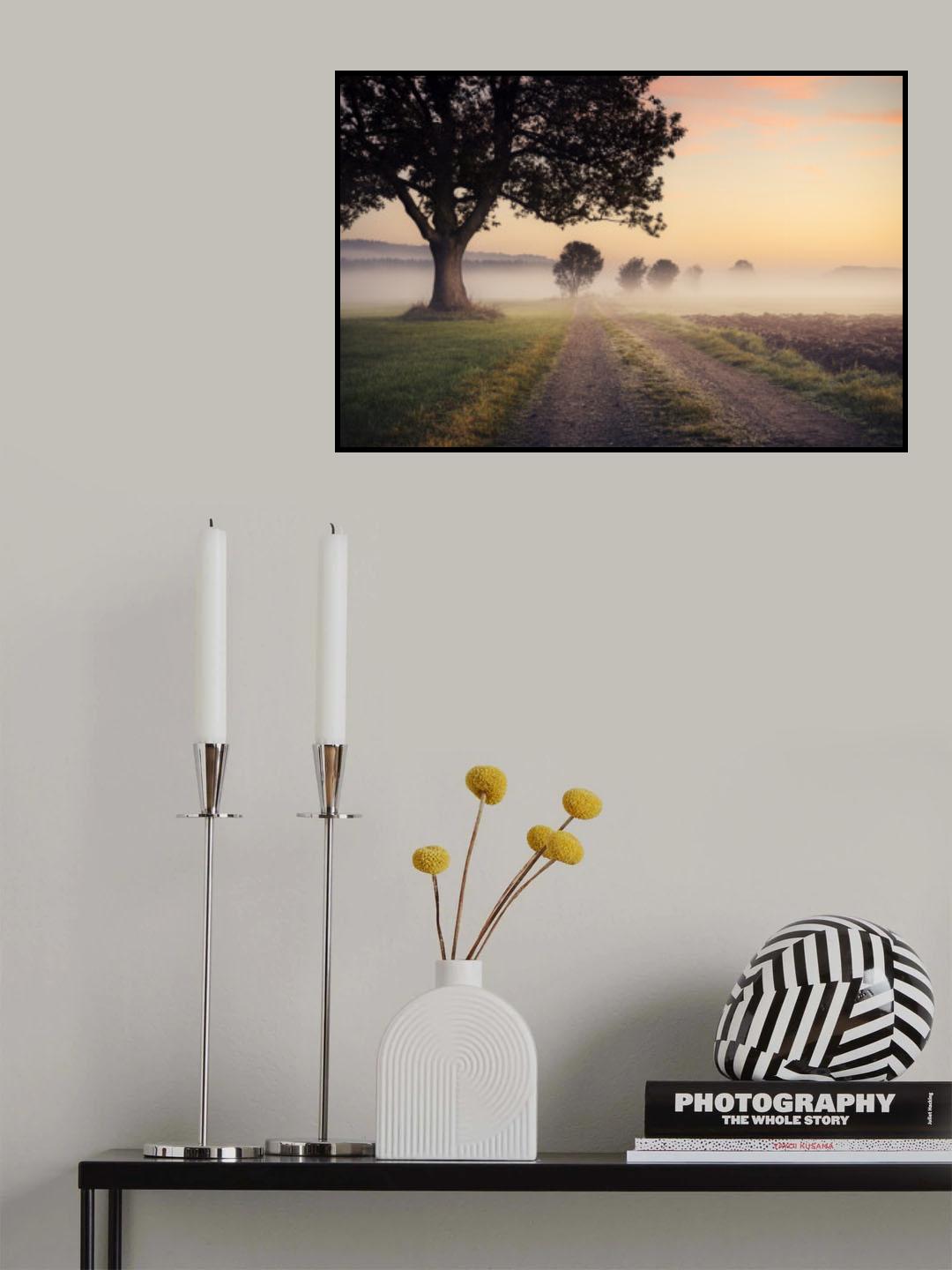 Mystic Path Poster och Canvastavla