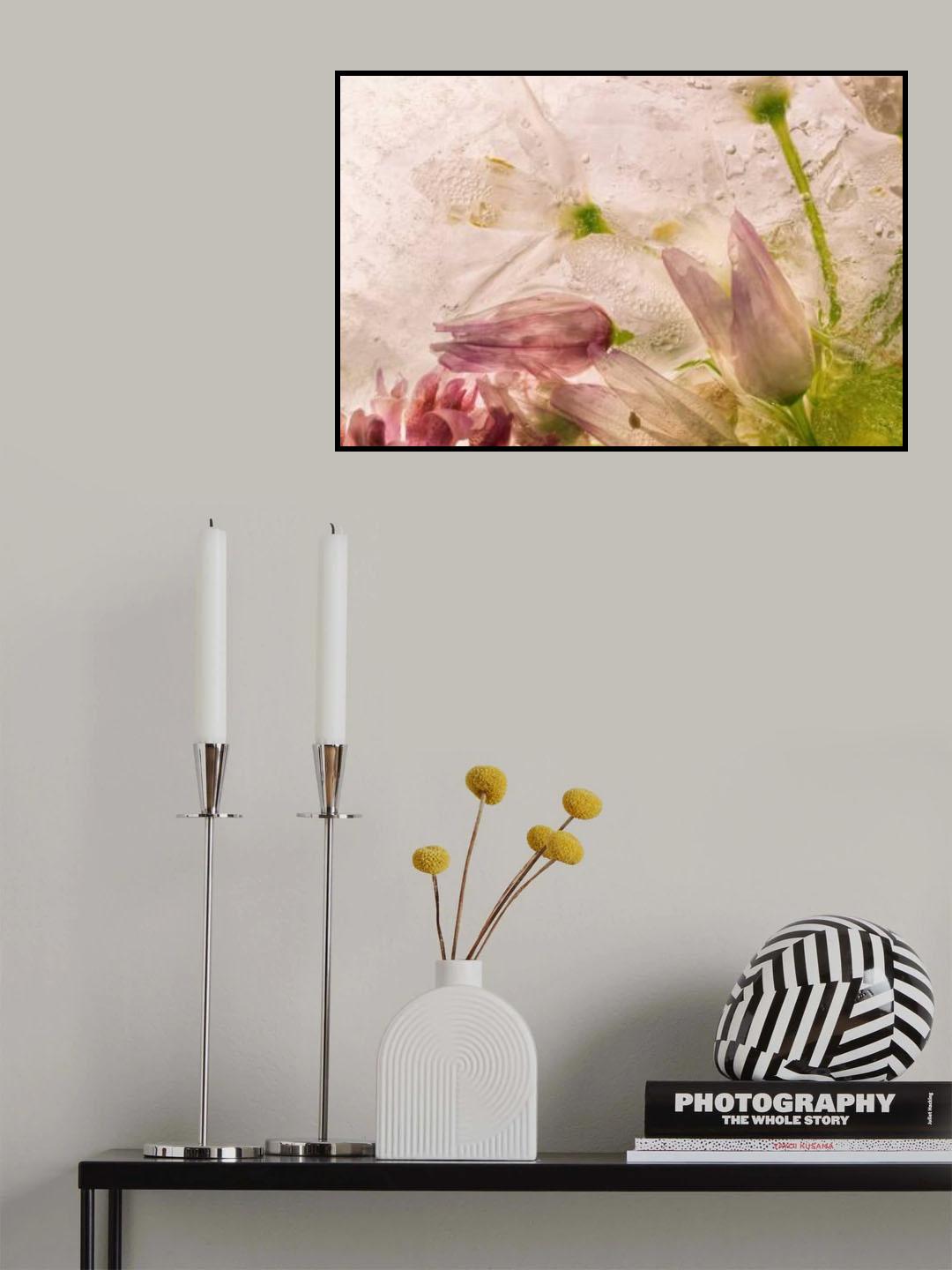 Glacial Rose Poster och Canvastavla