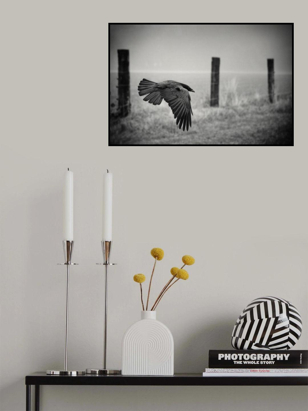 the day of the Raven Poster och Canvastavla