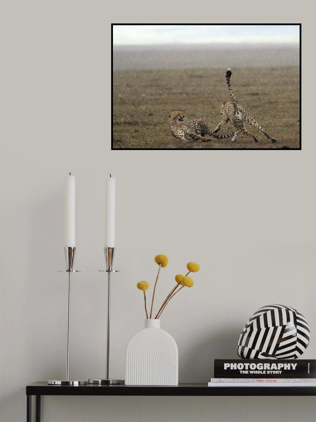 Tension in the Rain Poster och Canvastavla