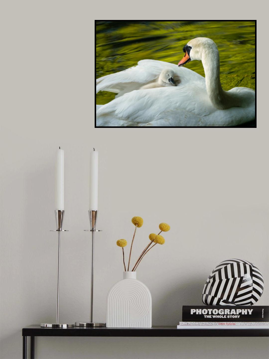 Sweet Dreams Poster och Canvastavla