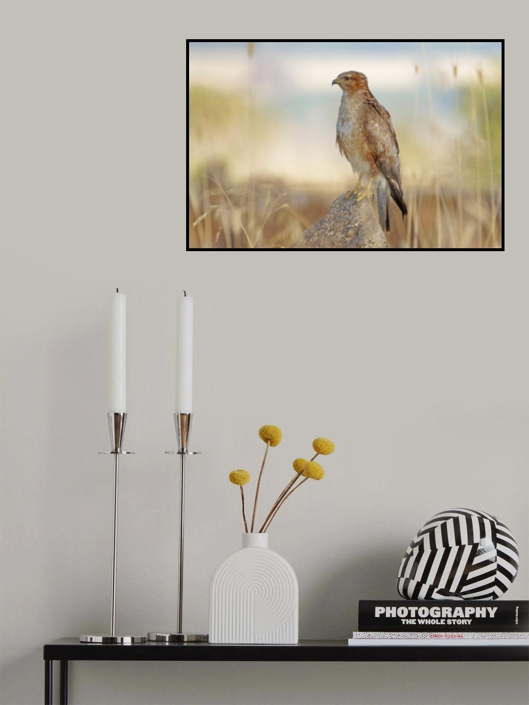 Poster och Canvastavla
