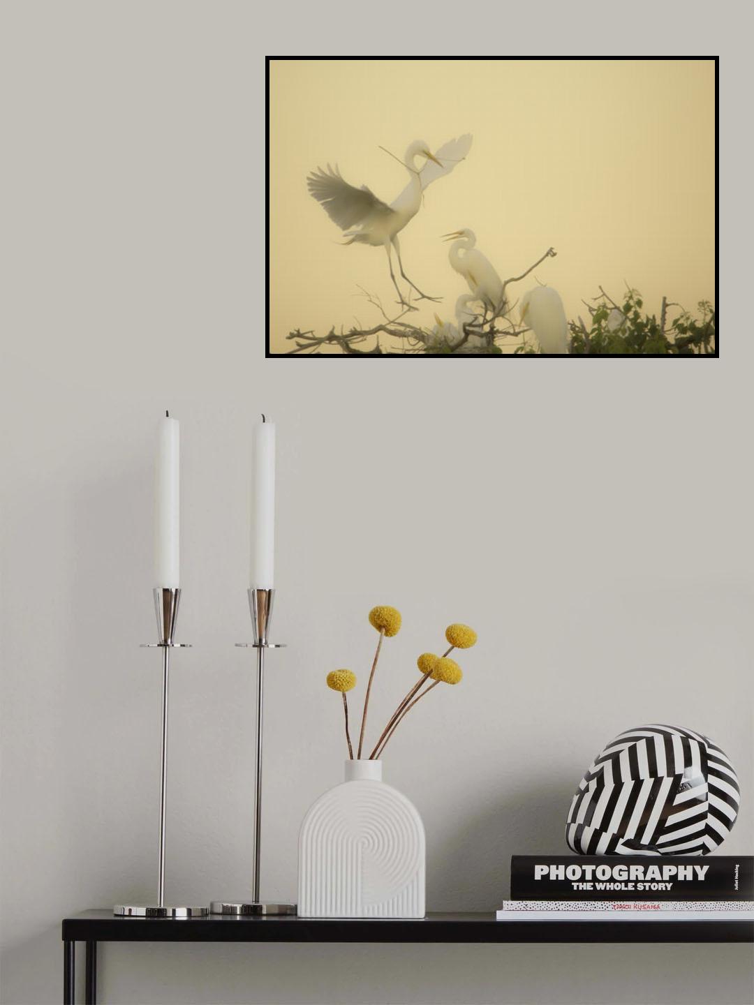 Coming Home Poster och Canvastavla