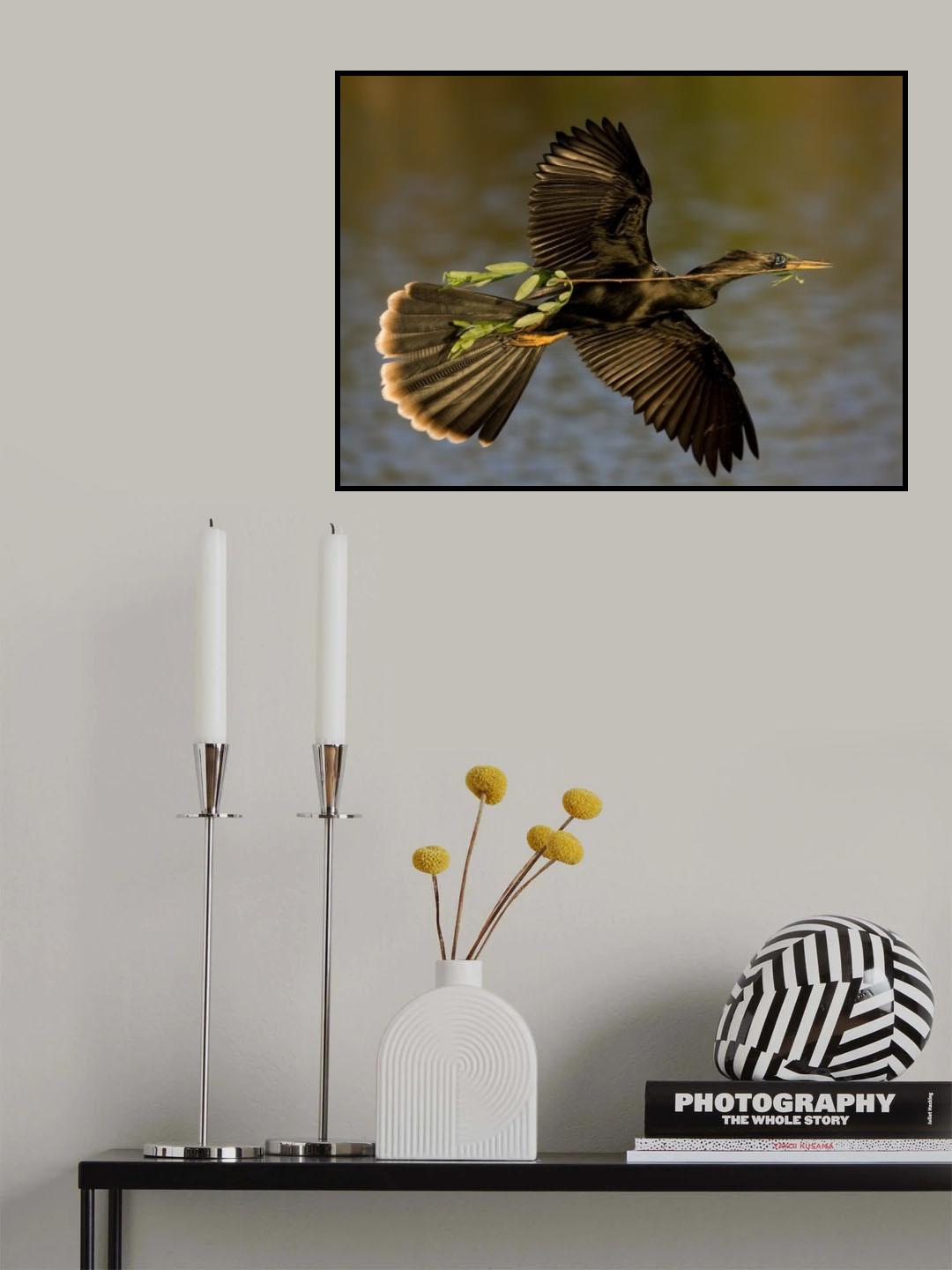 Returning to nest !!! Poster och Canvastavla