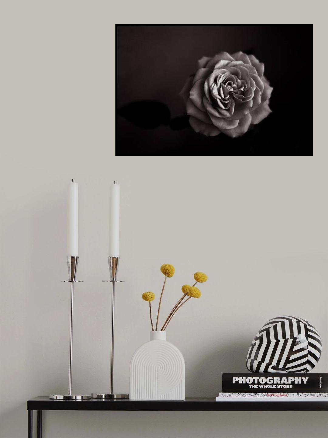 Rose Poster och Canvastavla