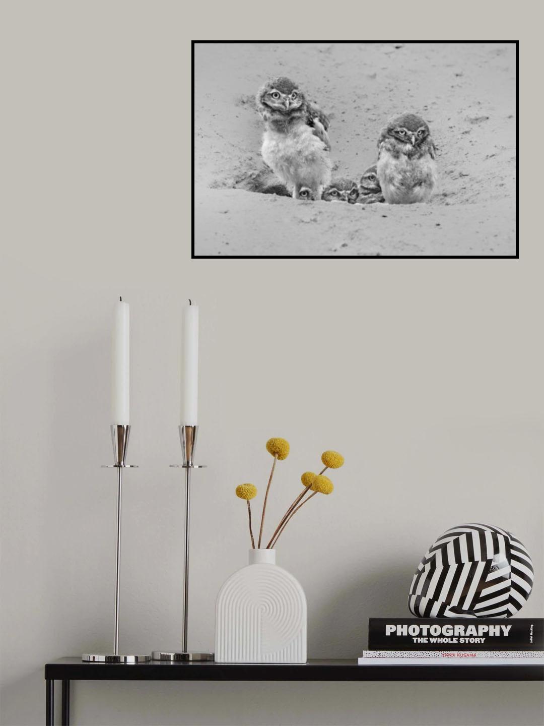 Curious Poster och Canvastavla