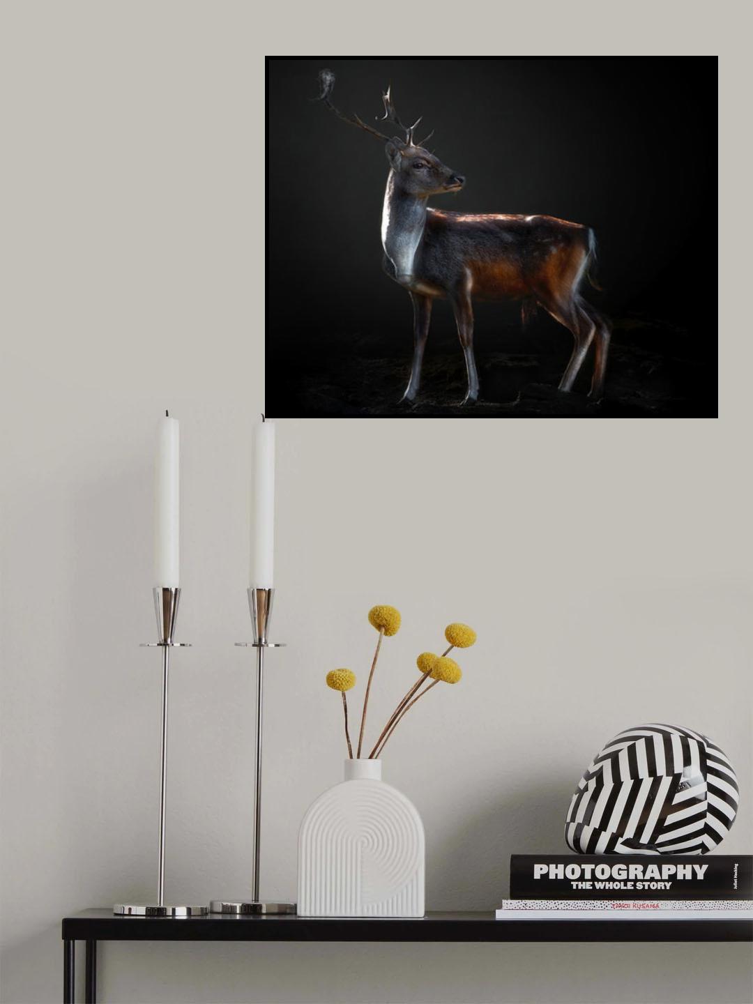 Fallow deer portrait Poster och Canvastavla
