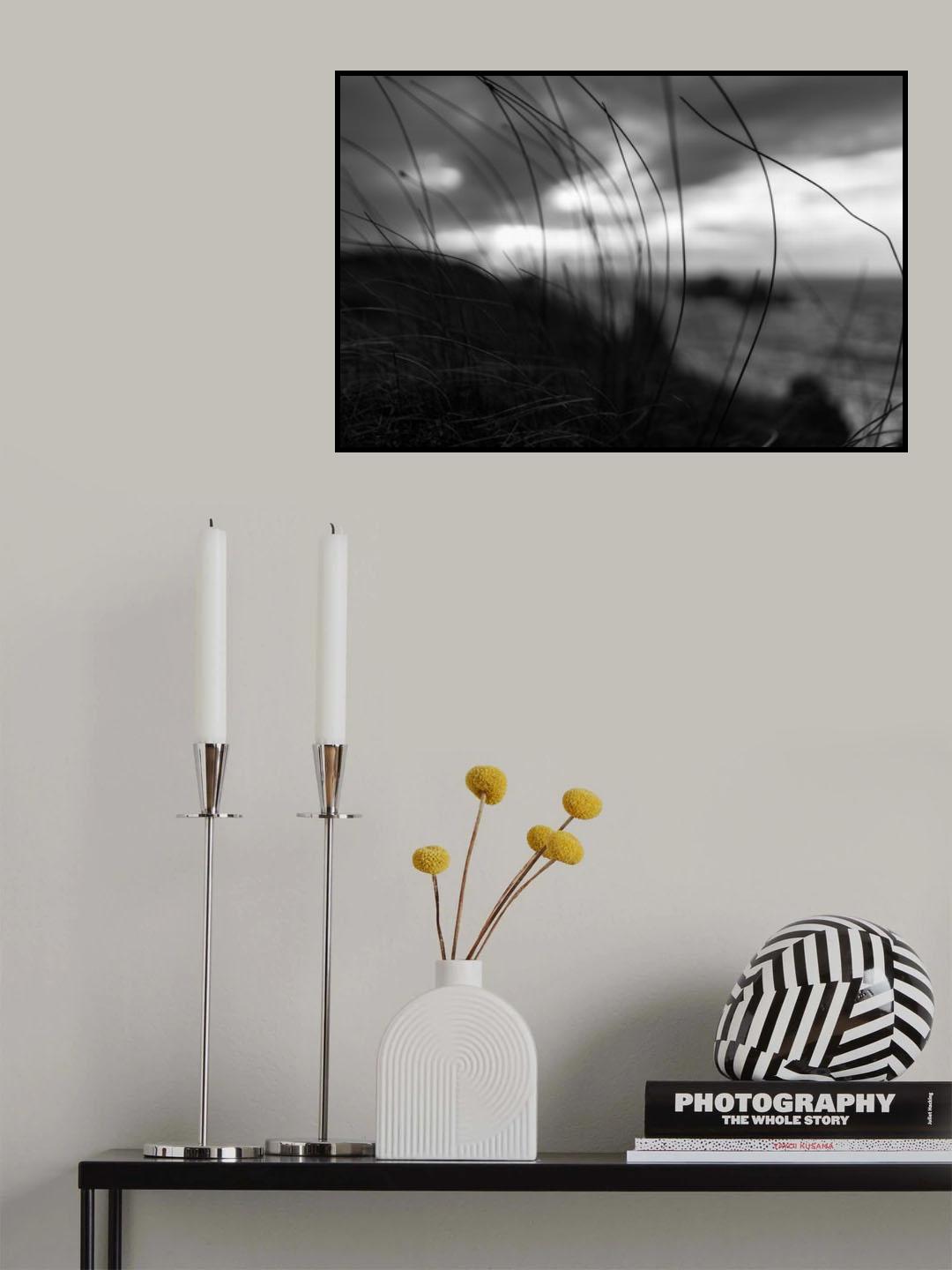 the wind brings the night Poster och Canvastavla
