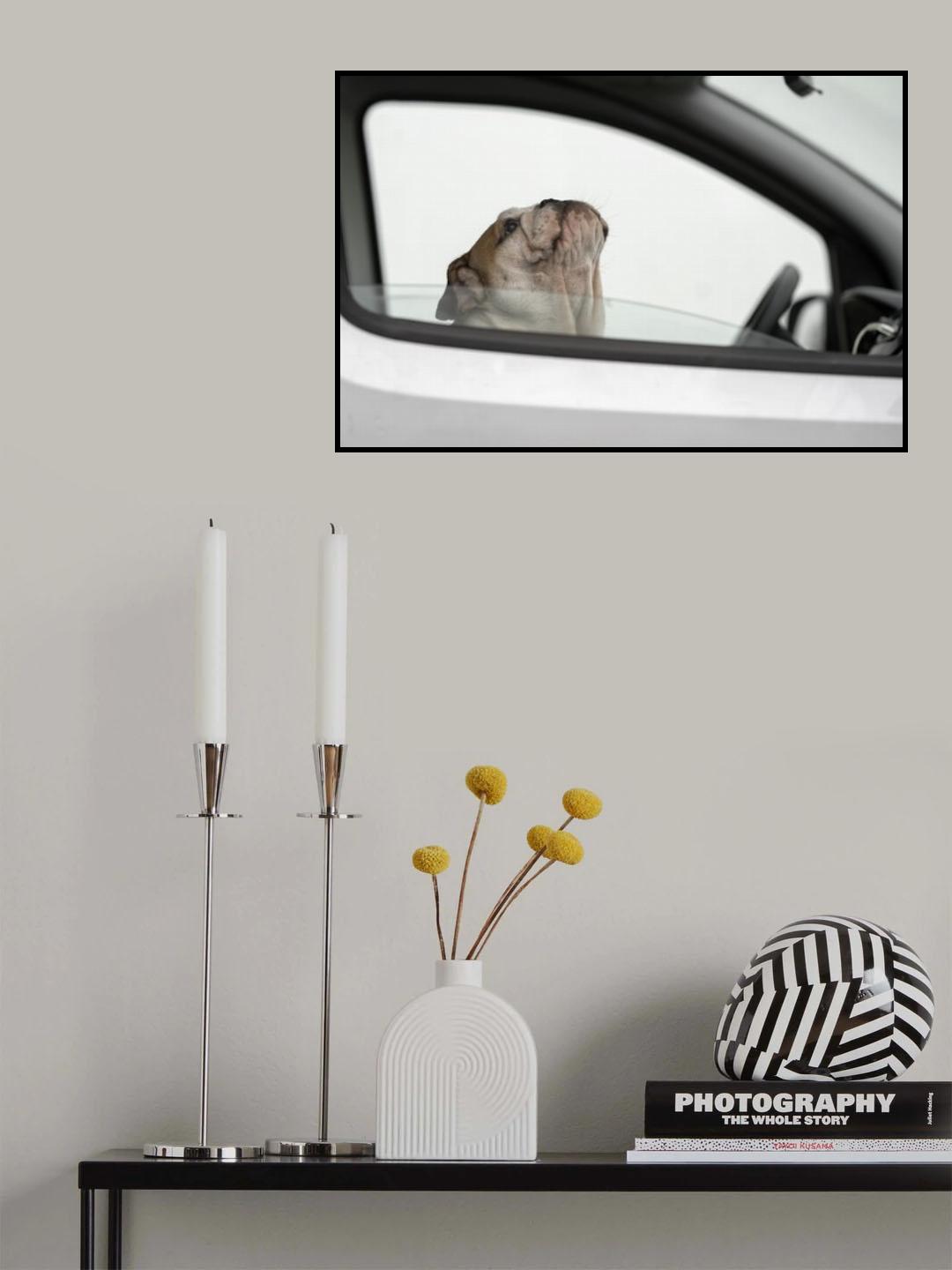 Busted! For speeding Poster och Canvastavla