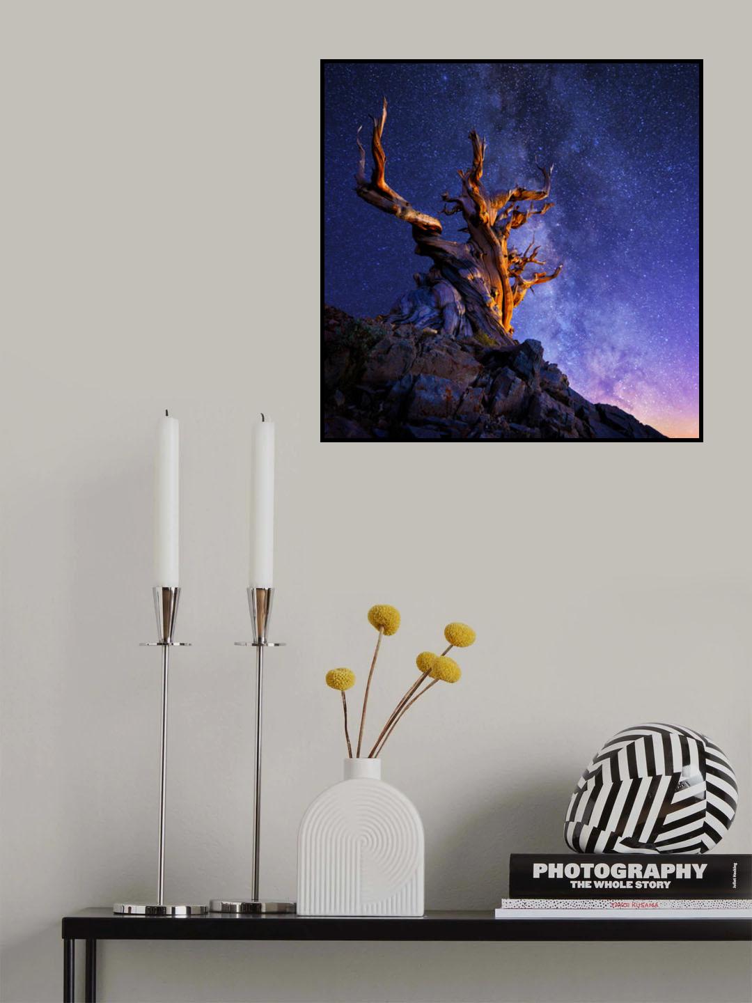 THE ANCIENT TREE Poster och Canvastavla