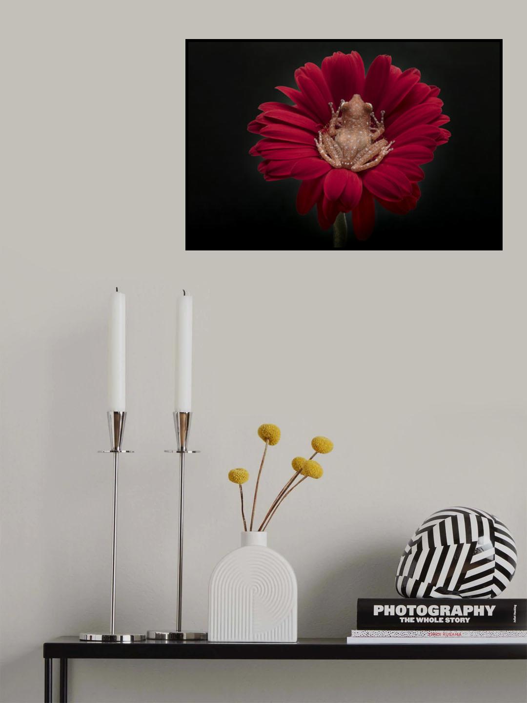 Cinnamon Tree Frog Poster och Canvastavla